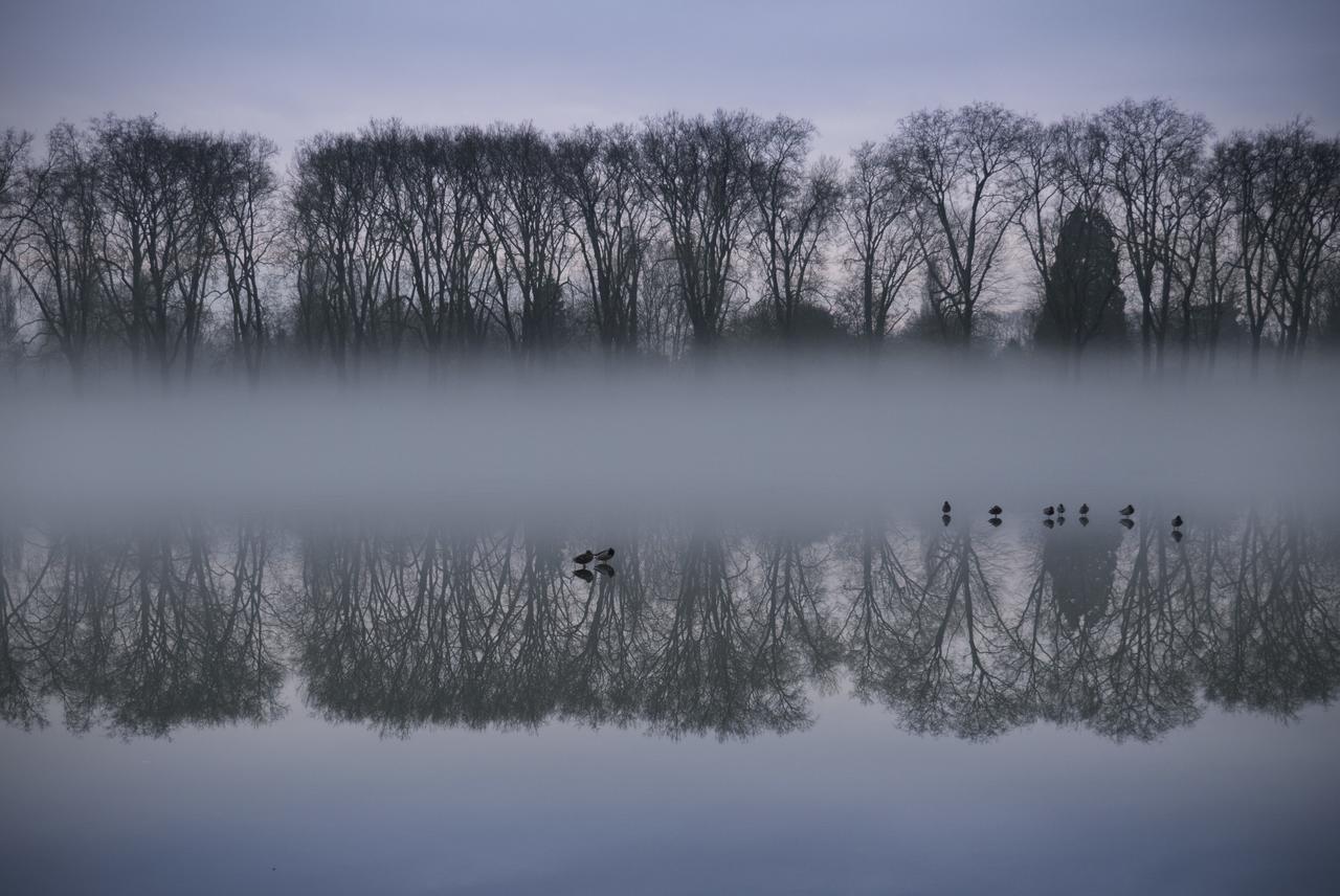 Bed In Versailles - Villa De La Piece D'Eau Des Suisses 外观 照片
